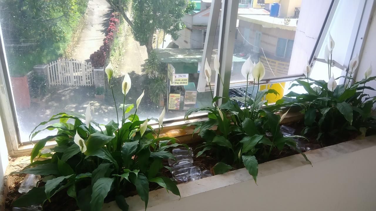 A Dong Hotel Далат Екстер'єр фото